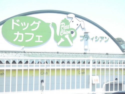 飲食店　ドッグカフェプティシアン（飲食店）まで1006m