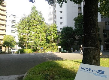 公園　トリニティ芝浦緑地（公園）まで265m