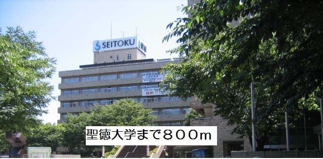大学・短大　聖徳大学（大学・短大）まで800m