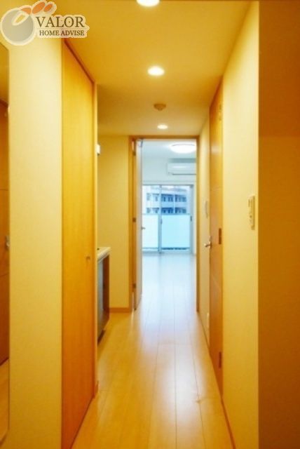 ブルーライン 吉野町駅 徒歩6分 11階建 築10年の玄関写真