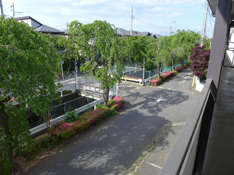 眺望　春は枝垂れ桜が咲いてきれいです
