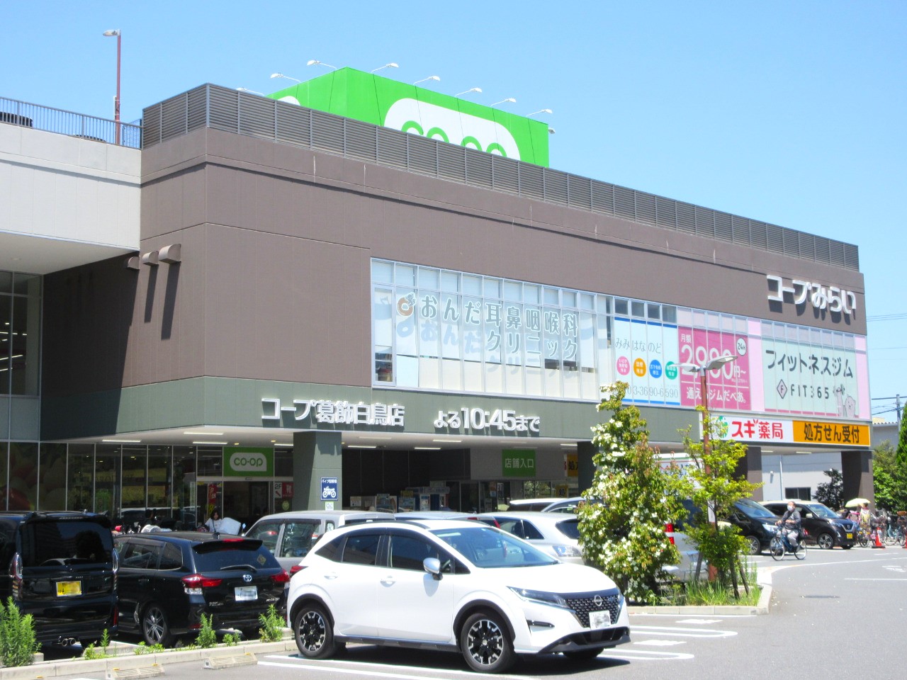 スーパー　コープ葛飾白鳥店（スーパー）まで533m