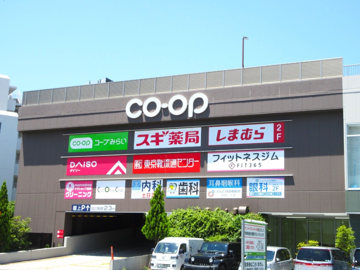 ドラックストア　スギ薬局葛飾白鳥店（ドラッグストア）まで533m