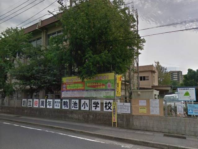 小学校　鴨池小学校（小学校）まで747m