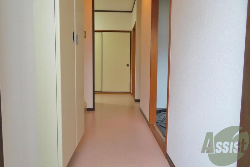 玄関　玄関から見た感じです。開放がありますね。