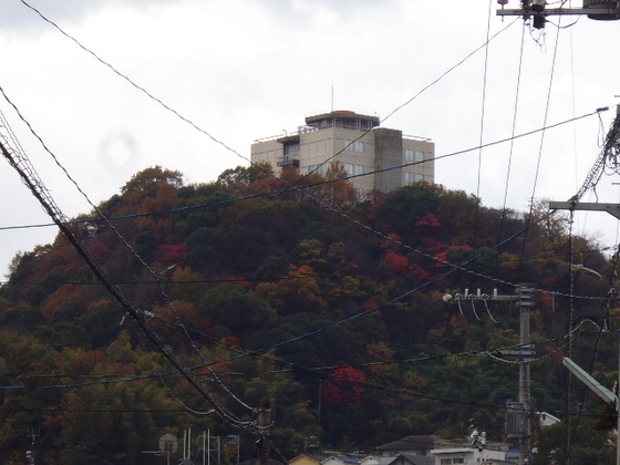 【安芸郡府中町青崎東のマンションの役所】