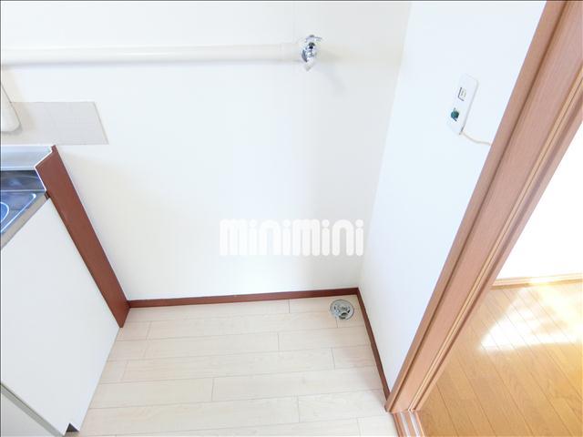 その他部屋・スペース　室内に洗濯機が置けます。