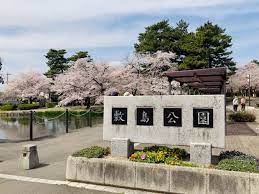 公園　敷島公園（公園）まで3299m