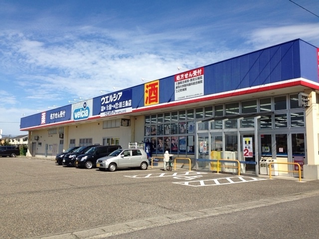 ドラックストア　ウエルシア新潟三条薬局（ドラッグストア）まで671m