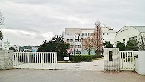 中学校　鳴門教育大学附属中学校（中学校）まで589m