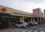 スーパー　スーパーアルプス中野店（スーパー）まで516m