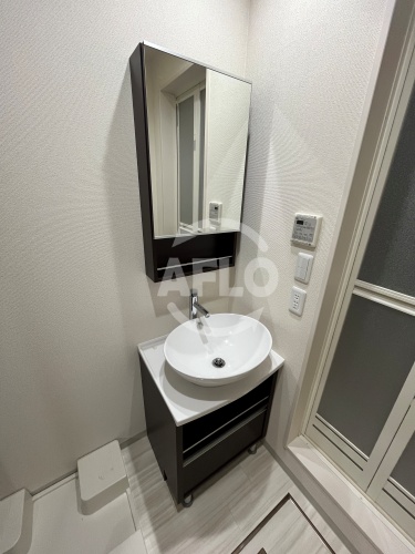 洗面設備　フジパレス住吉沢之町III番館　独立洗面台