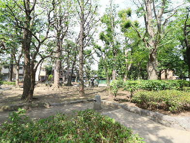 公園　千住仲町公園（公園）まで325m
