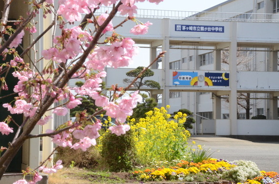 中学校　茅ヶ崎市立鶴が台中学校（中学校）まで1494m