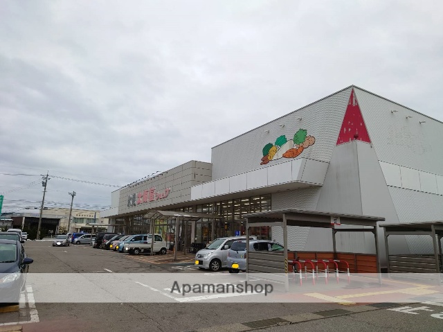 スーパー　大阪屋ショップ氷見店（スーパー）まで796m