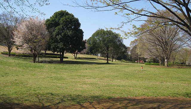 公園　富士見台公園（公園）まで932m