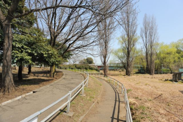 公園　白山公園（公園）まで527m