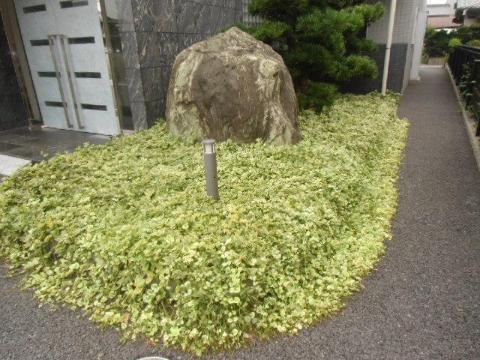 庭　庭（イメージ）