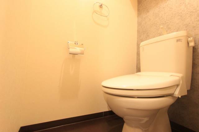 トイレ　清潔感のある色合いです