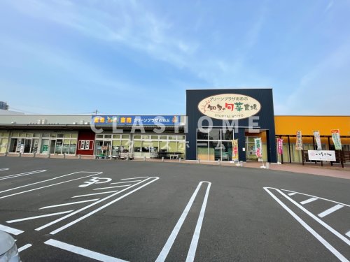 スーパー　JAあいち知多 グリーンプラザおおぶ(知多の旬菜農場)（スーパー）まで1077m