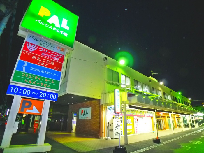 スーパー　パルシステム（スーパー）まで1079m