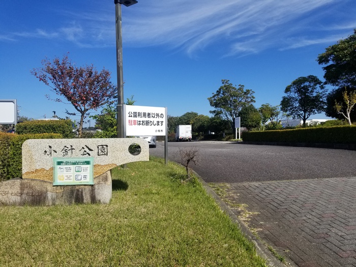 公園　小針公園（公園）まで800m