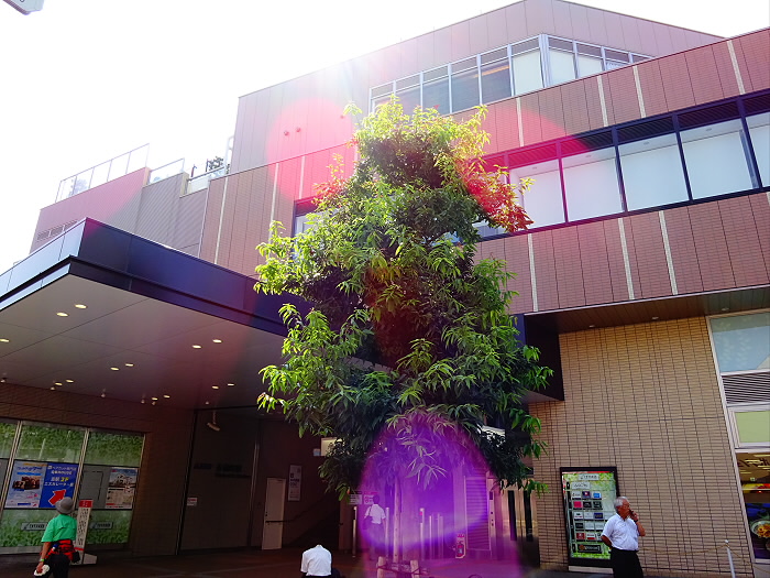 その他　永福町駅（その他）まで1466m