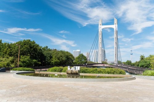 その他　【公園】木場公園（その他）まで583m