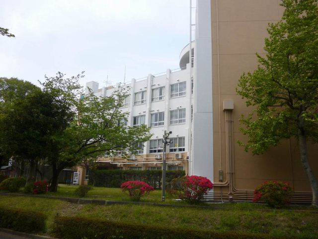 大学・短大　横浜美術大学（大学・短大）まで2100m