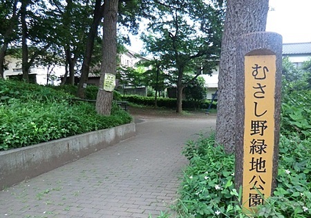 公園　むさし野緑地公園（公園）まで900m