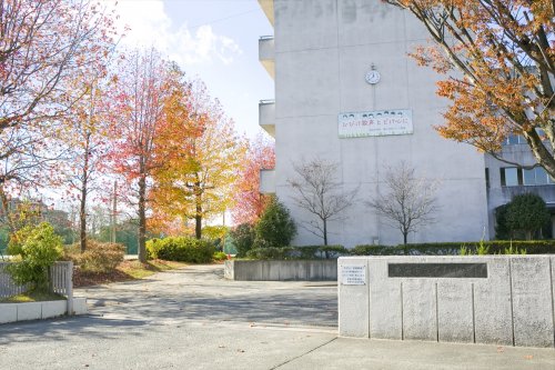 中学校　東海市立名和中学校（中学校）まで1236m