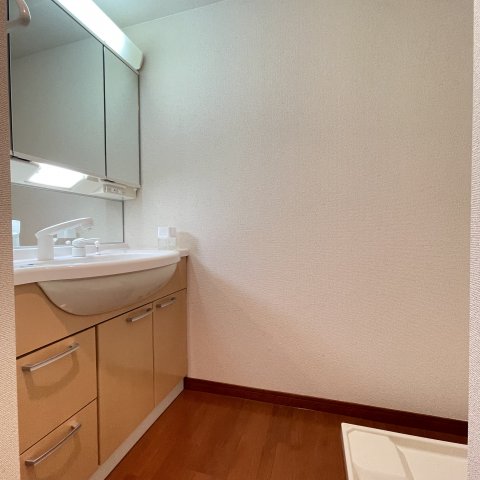 洗面設備　同仕様タイプです