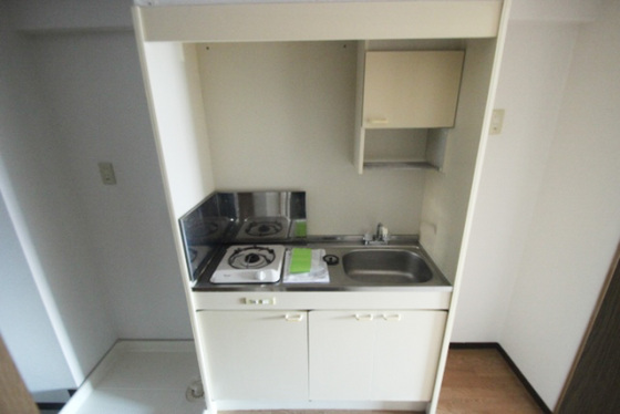 キッチン　※別号室の写真です