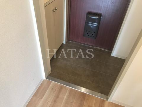 玄関　同物件別部屋のお写真です。