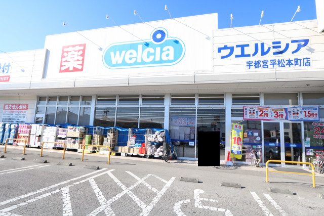 ドラックストア　ウエルシア宇都宮平松本町店（ドラッグストア）まで800m