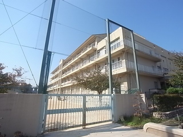 小学校　神戸市立灘小学校（小学校）まで800m