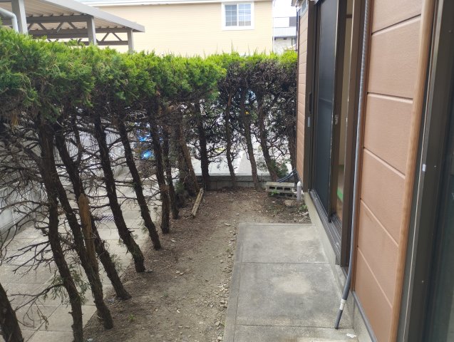 庭