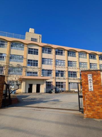 小学校　福岡市立小学校城原小学校（小学校）まで475m