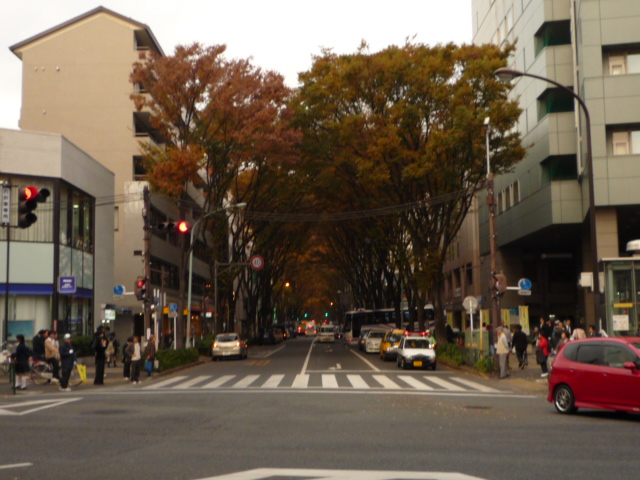 コンビニ　セブンイレブン（コンビニ）まで696m
