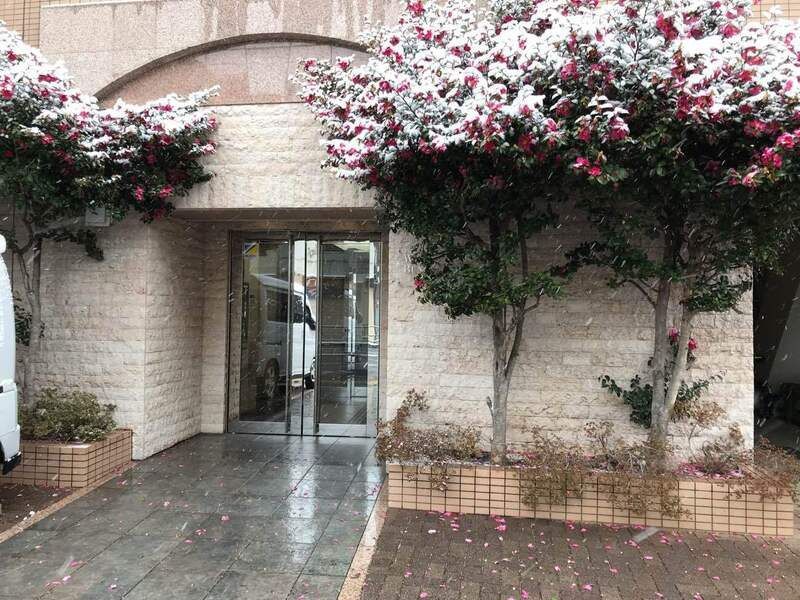 エントランス　☆エントランス☆