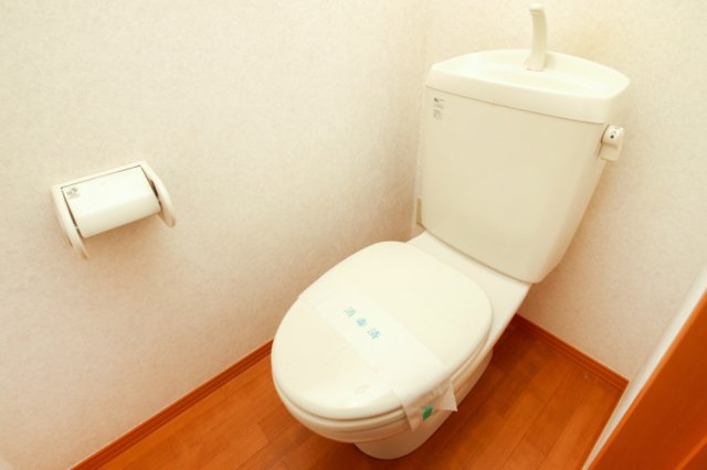 トイレ　※同じ間取りタイプの違う号室の写真です。