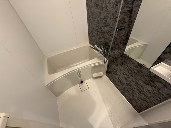 バス・シャワールーム　※別部屋の写真です