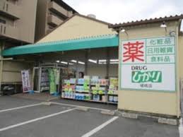 ドラックストア　ドラッグひかり 嵯峨店（ドラッグストア）まで793m