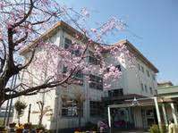 小学校　静岡市立清水浜田小学校（小学校）まで337m