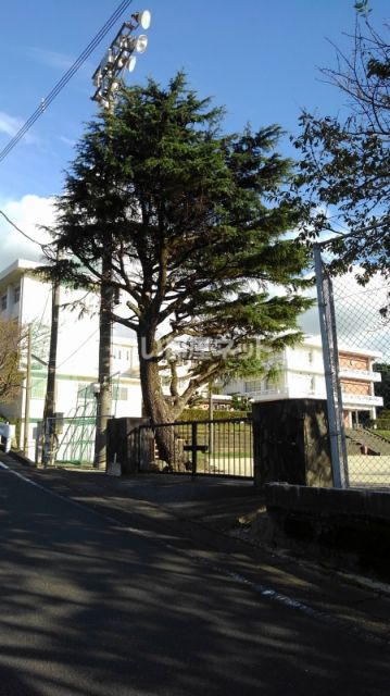 中学校　雲仙市立千々石中学校（中学校）まで930m