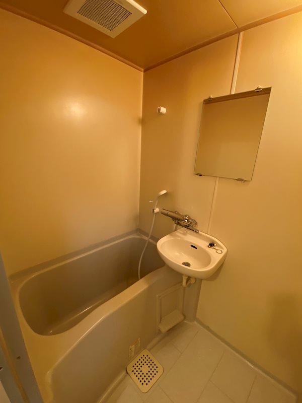 バス・シャワールーム　※同タイプの他のお部屋です