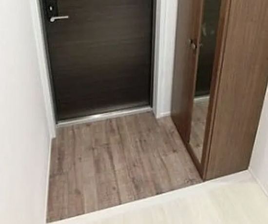 玄関　※別部屋の参考写真です。