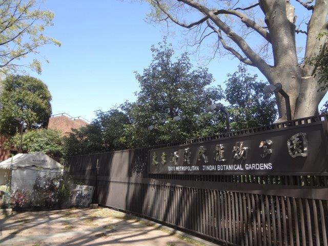 公園　神代公園（公園）まで1334m