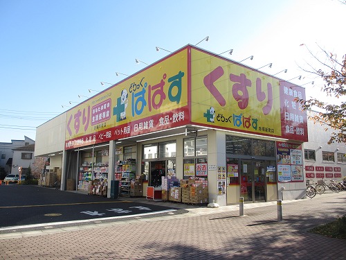 ドラックストア　どらっぐぱぱす 赤塚新町店（ドラッグストア）まで739m