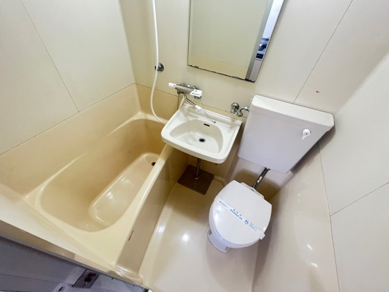 バス・シャワールーム　※別部屋の写真です